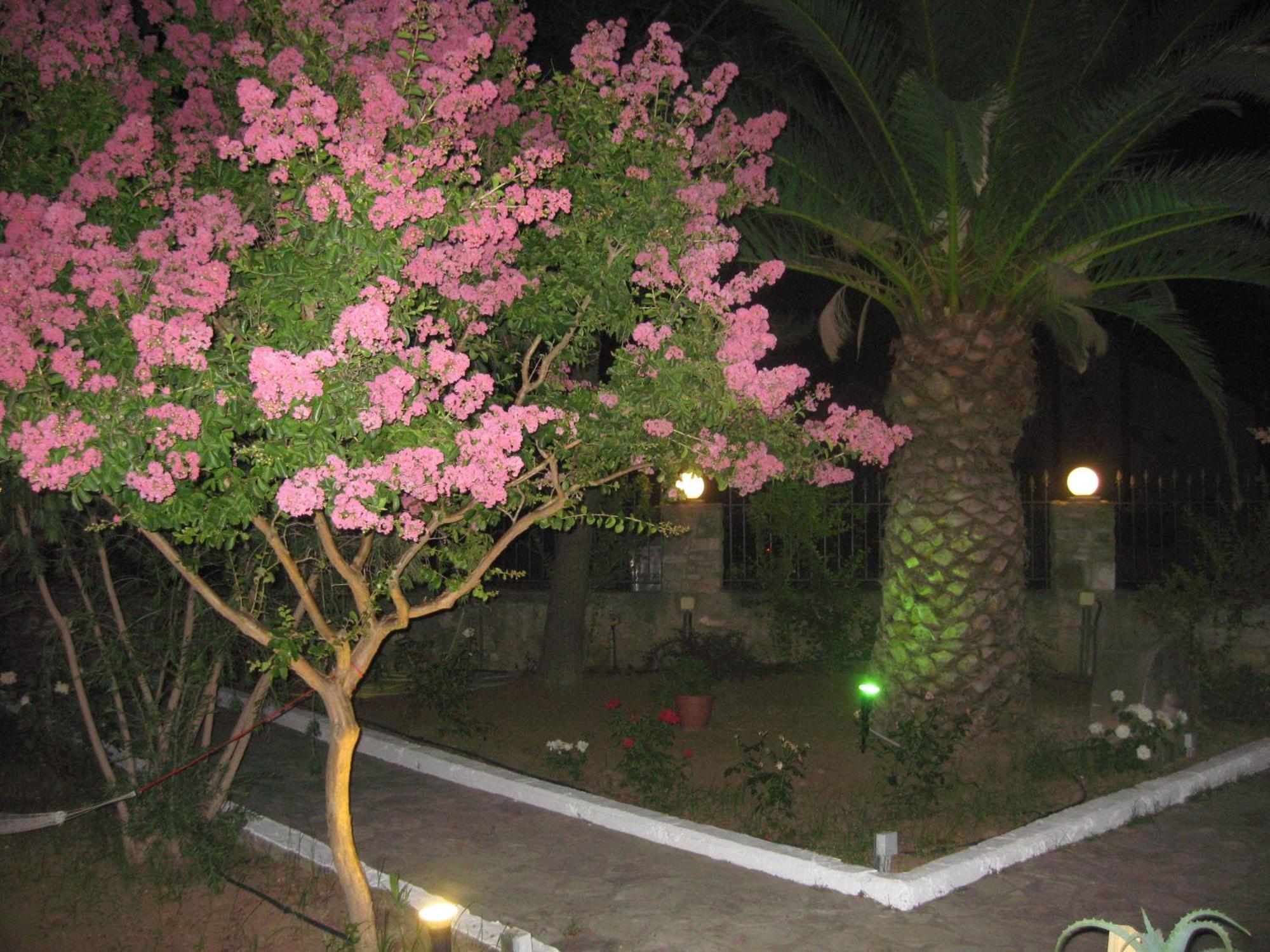 Assimakis Hotel ฟีนีคุนตา ภายนอก รูปภาพ